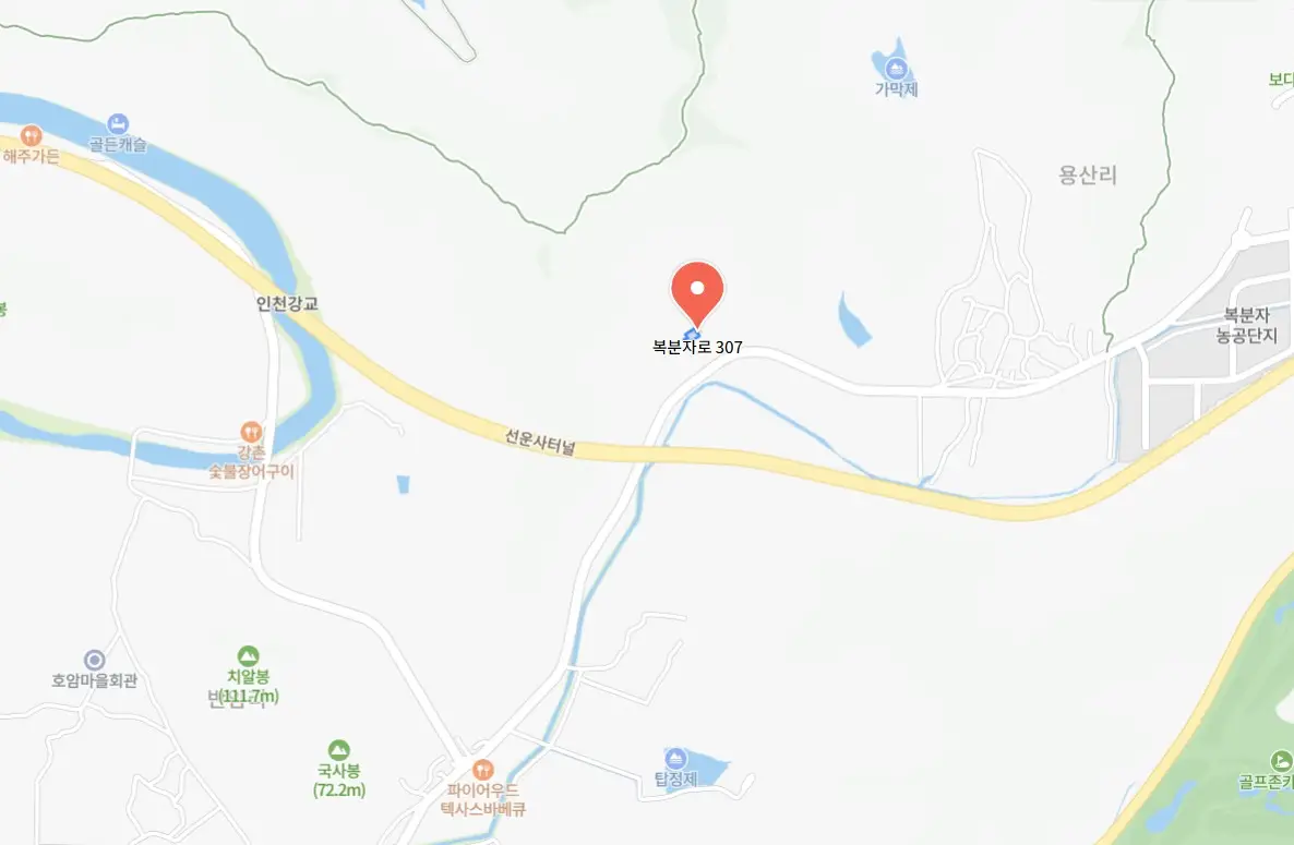 고창 핑크뮬리 축제