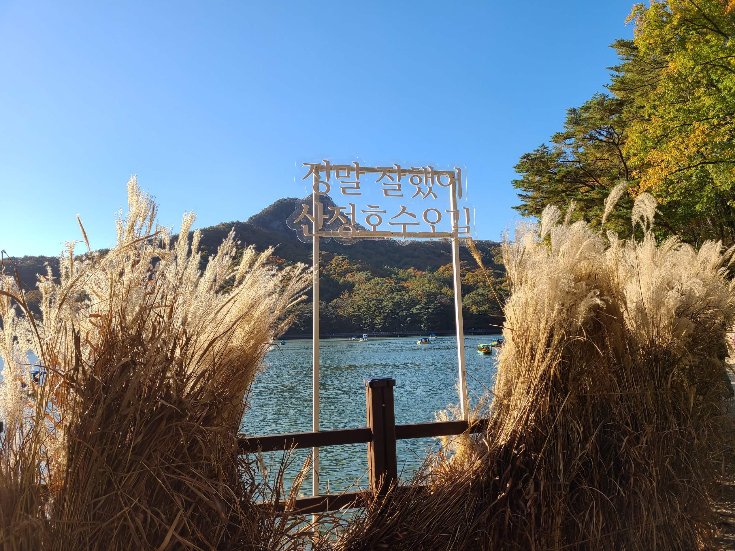 수도권 겨울 데이트 명소 3곳&amp;#44; 눈꽃 여행 완벽 가이드 관련사진