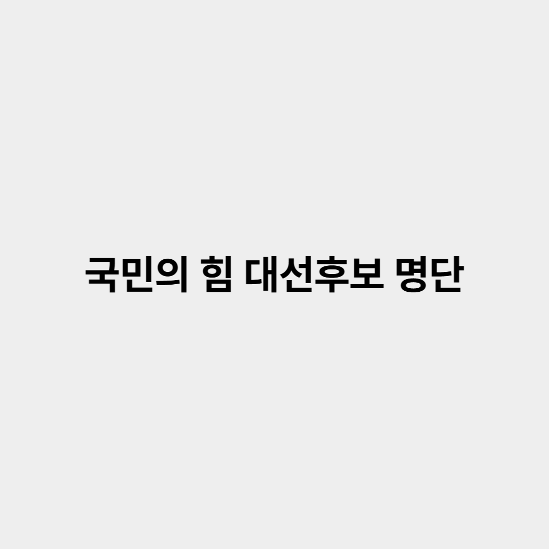 국민의 힘 대선후보 명단
