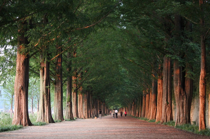 담양 역사 명소 음식