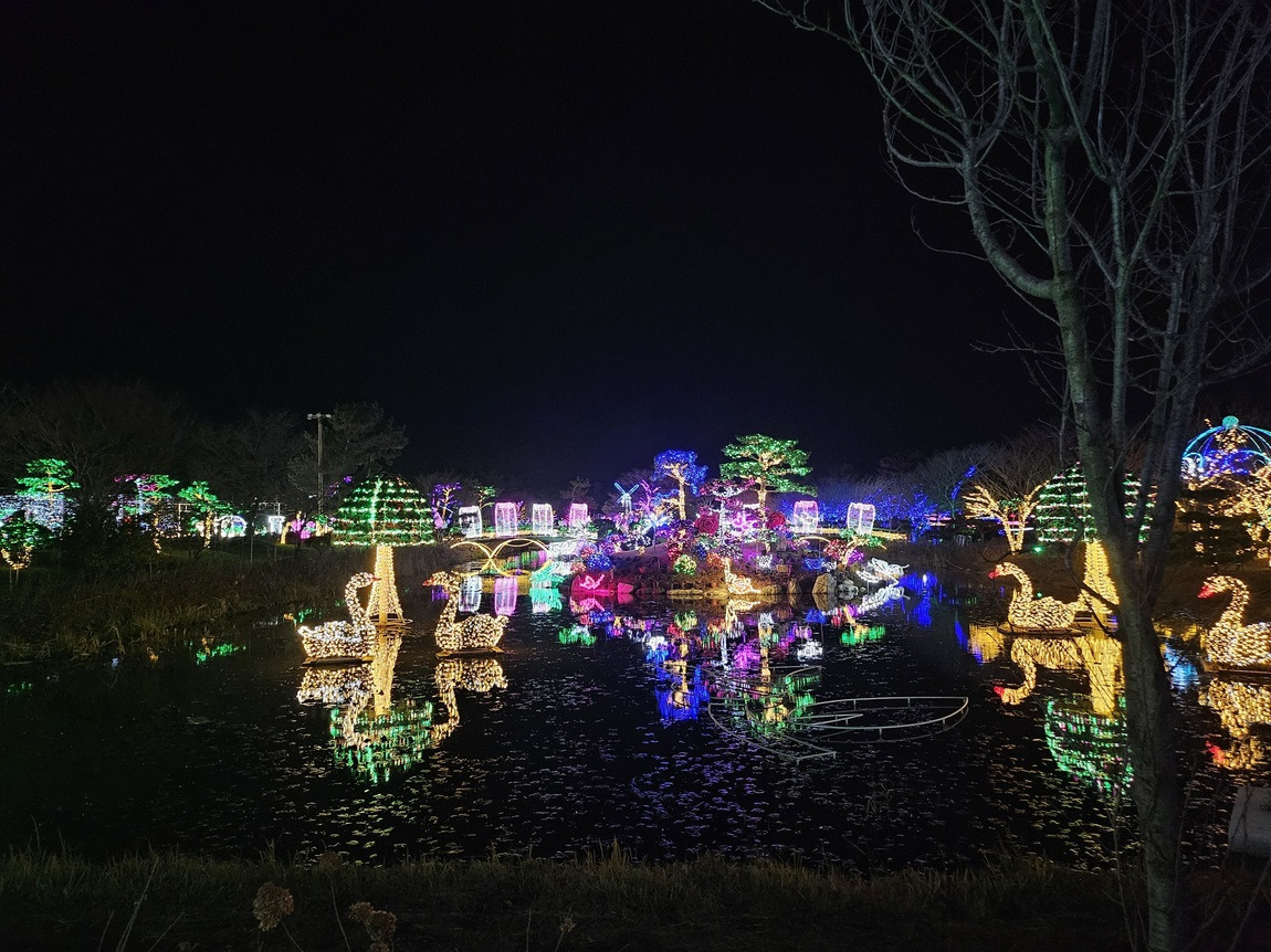 태안 빛축제 맛집 근처숙박 주차 꿀팁 총정리