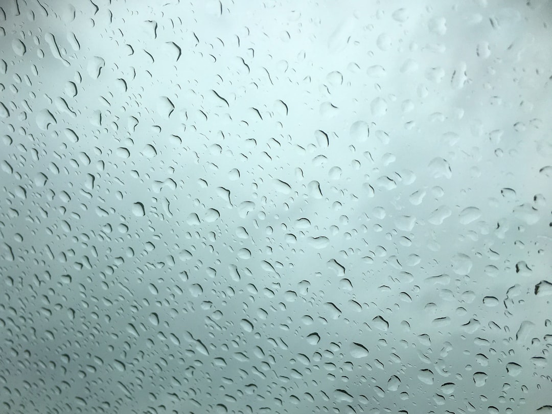 Windshield.