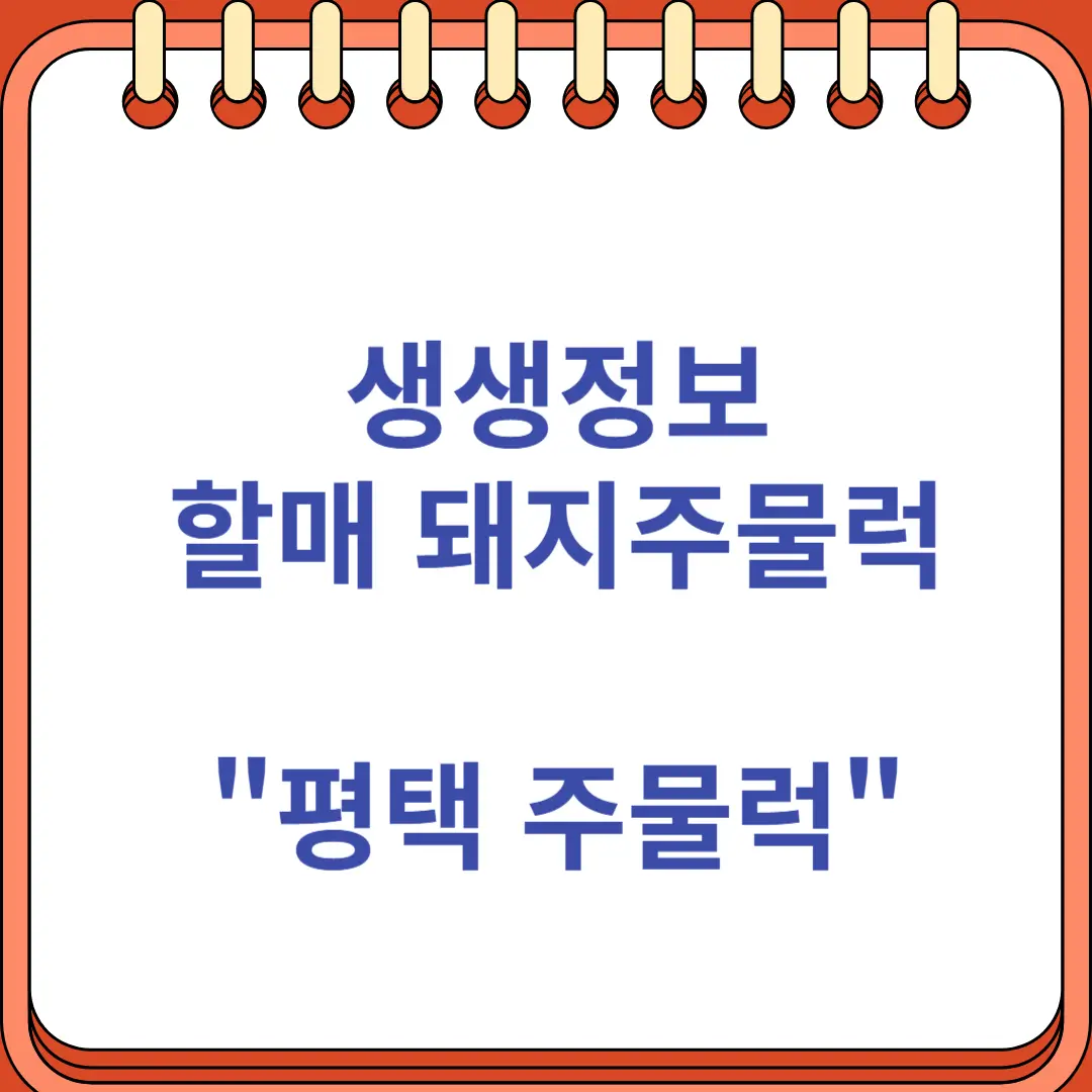 생생정보 돼지주물럭