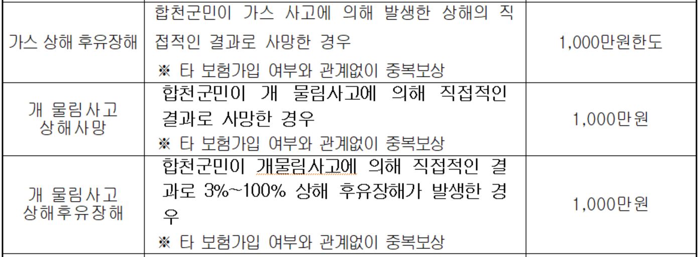 합천군 군민안전보험