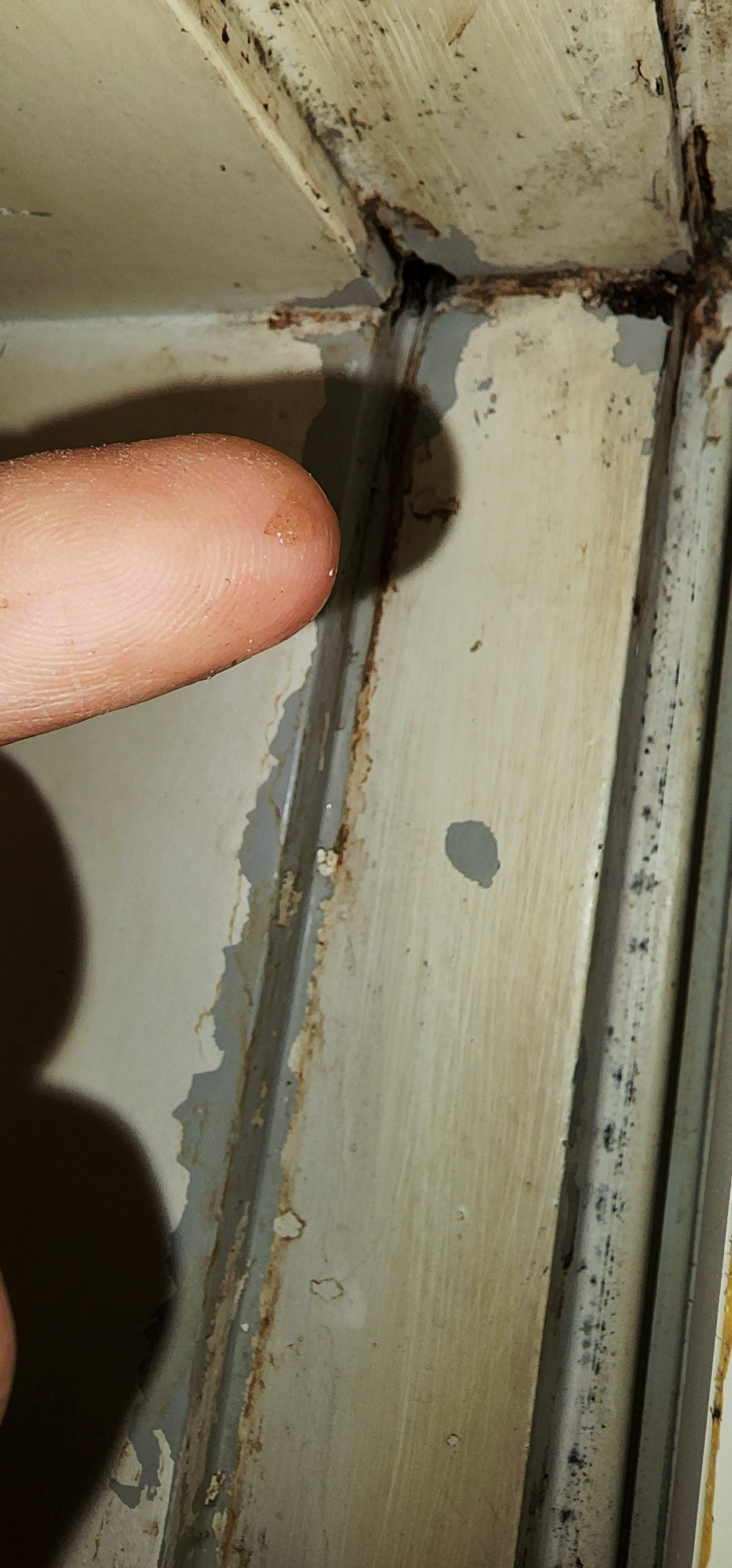 용인누수탐지업체