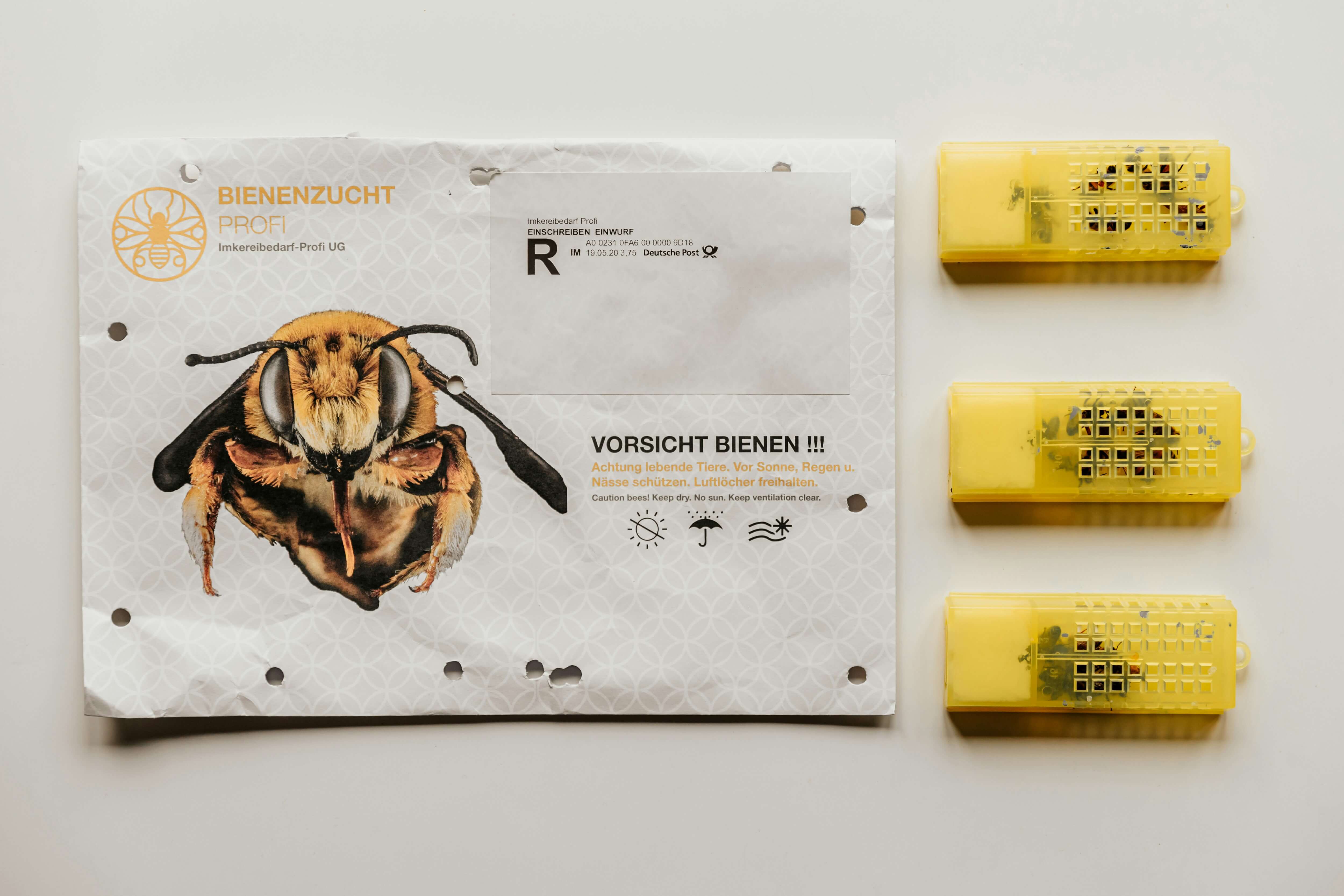 지역별 도시 양봉 환경 분석