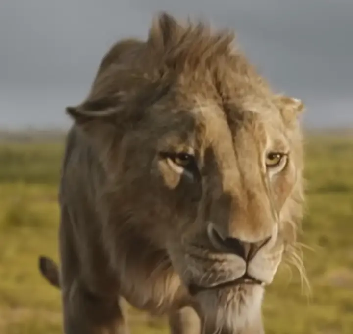 무파사 라이온킹 후기 & 심바 아빠