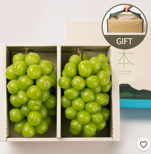 탐라왕 샤인머스캣