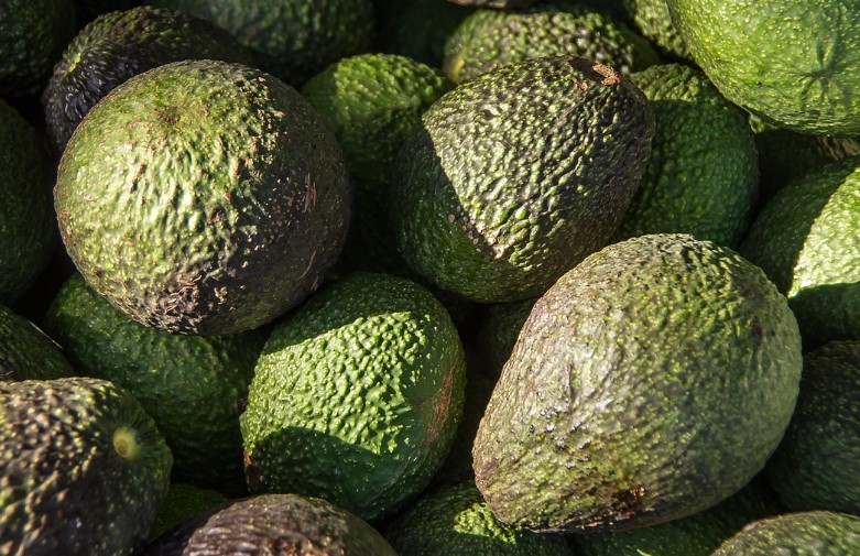아보카도 효능｜종류｜제철｜아보카도 보관방법｜손질 방법｜먹는 방법