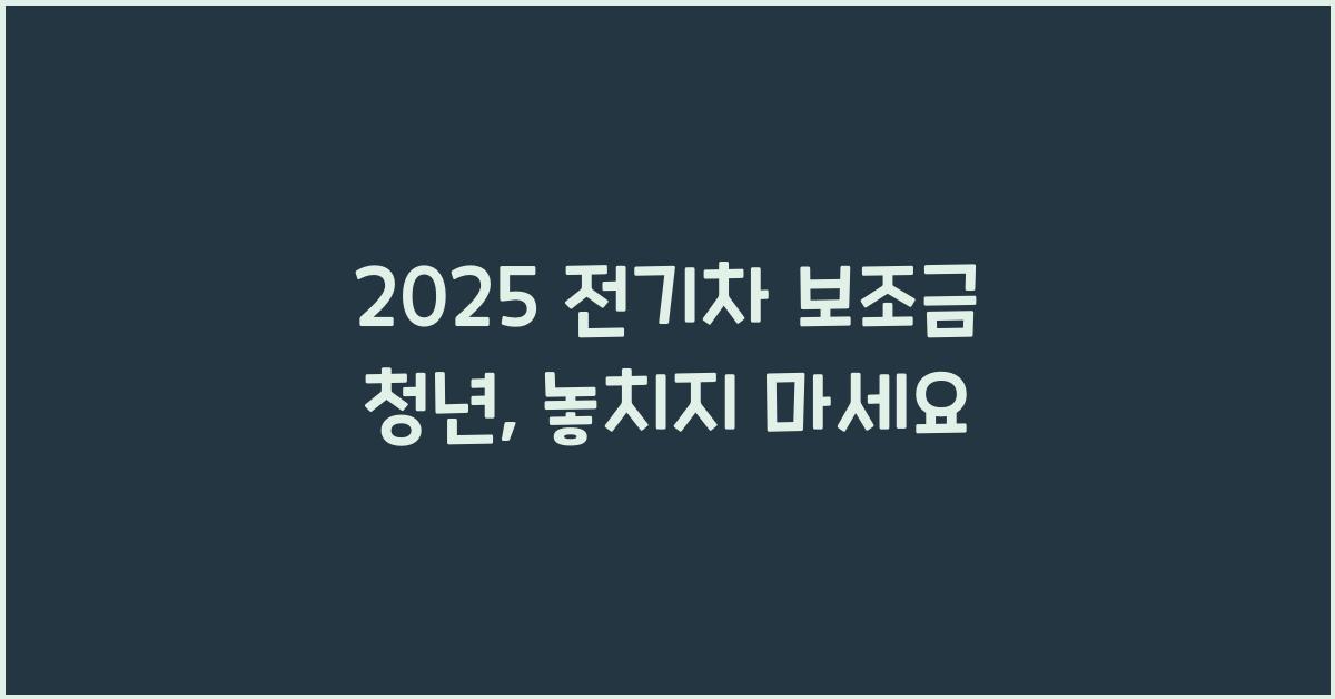 2025 전기차 보조금 청년