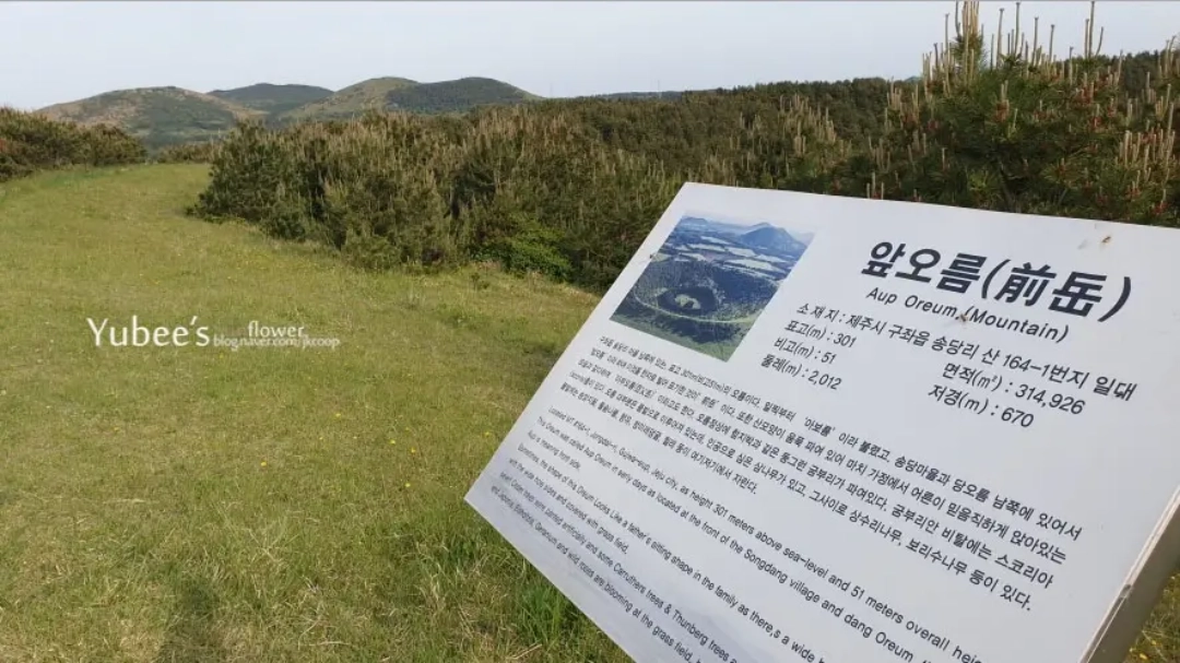 아부오름 뜻 앞오름