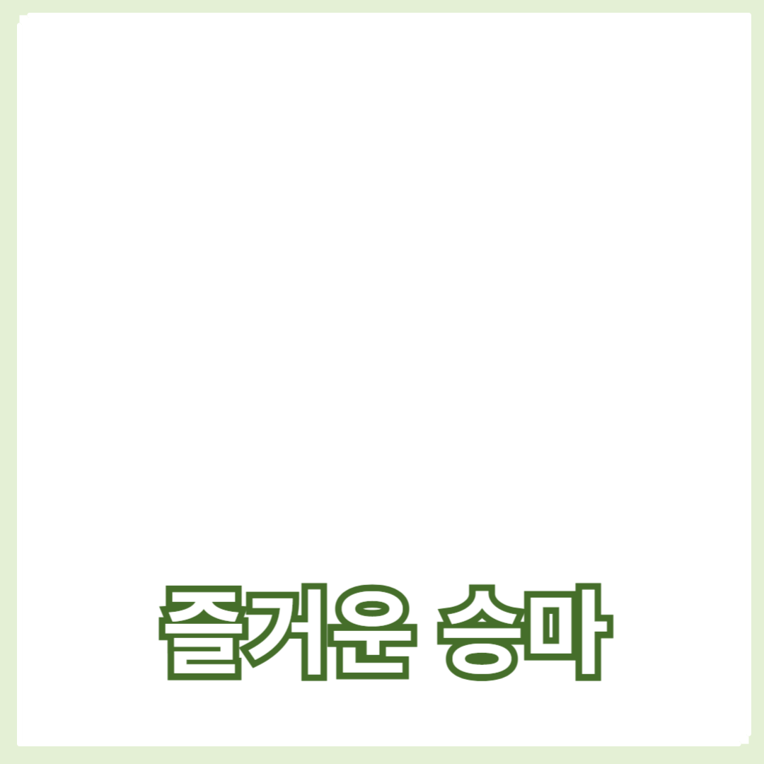 기초 기술과 승마를 배우는 방법