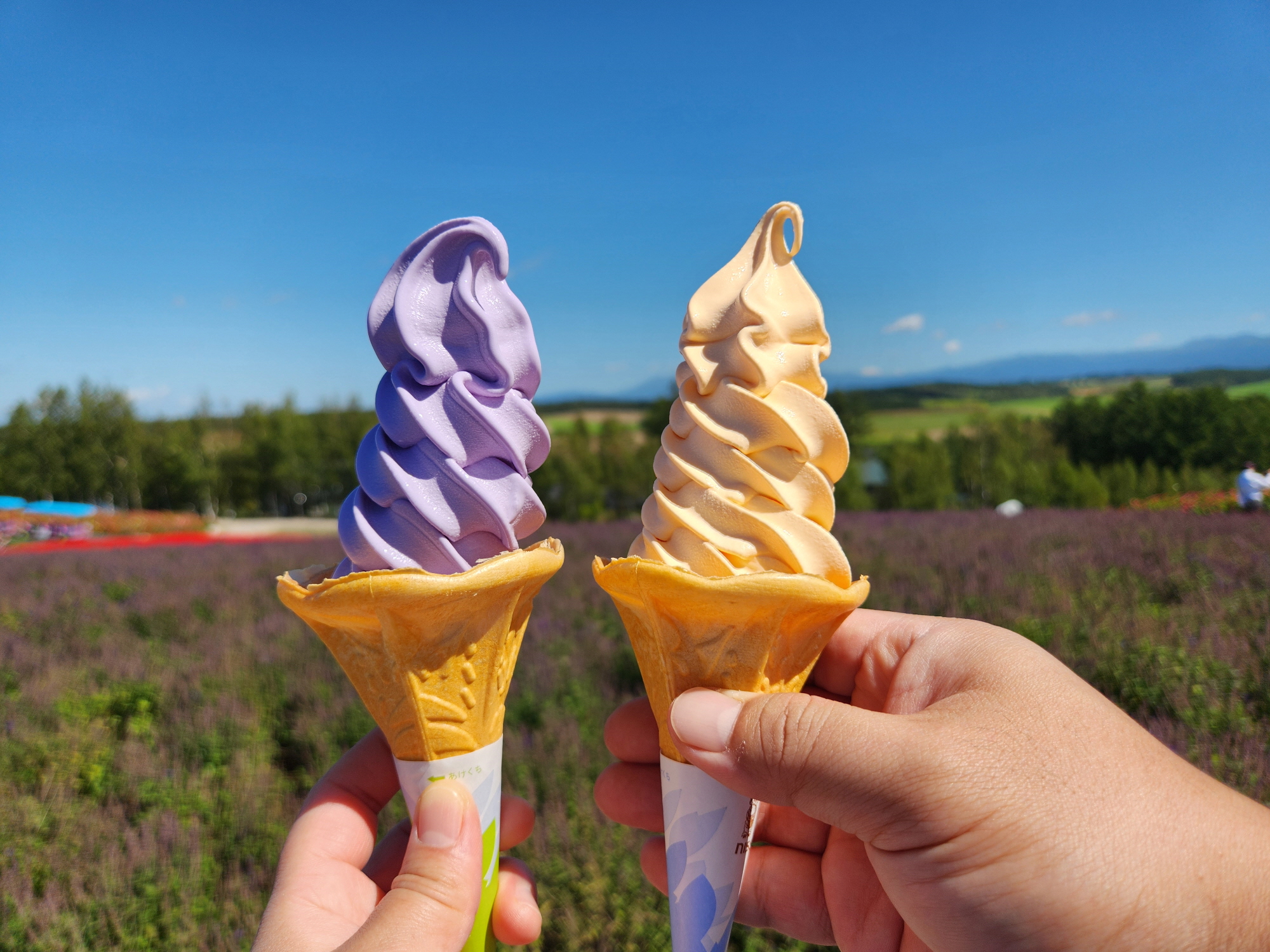 사계체 언덕 - 14