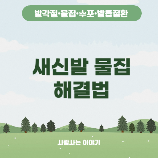 새 신발 신을 때마다 발에 물집 생기는 이유와 예방법, 관리아이템 추천