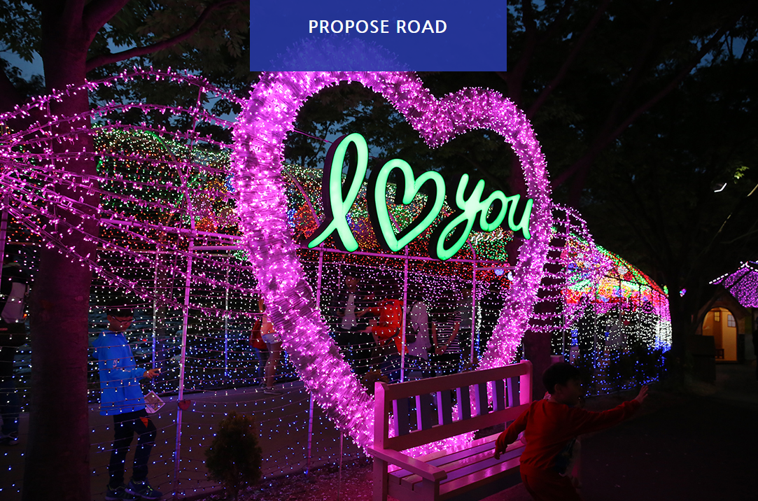 청도 프로방스 빛축제