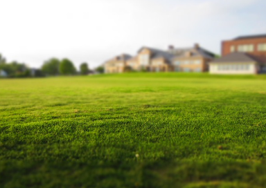 서울 그린벨트 해제