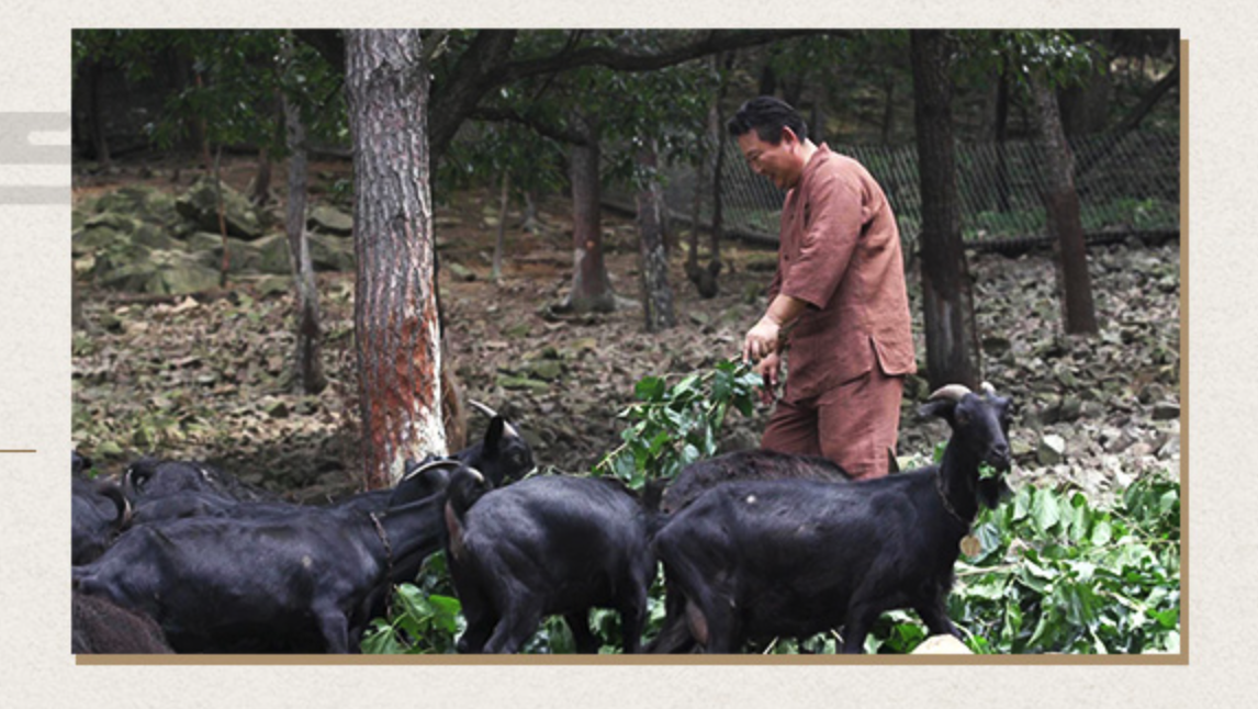 이경제 흑염소 진액