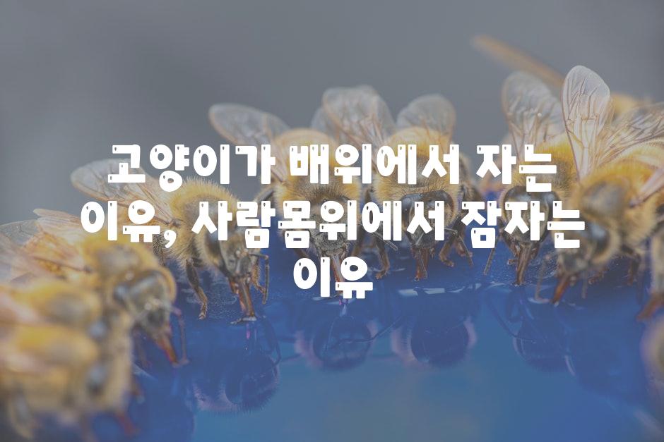 API 할당량 초과 오류 8