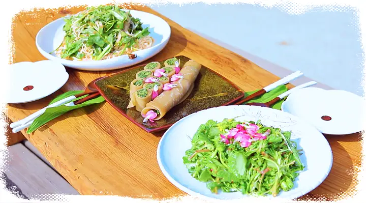 생방송오늘저녁 [남양주 백봉산 도림스님 고로쇠 간장 된장, 된장 비빔국수, 봄동샐러드, 원추리전병 절밥 사찰음식]