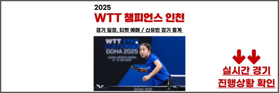 wtt인천