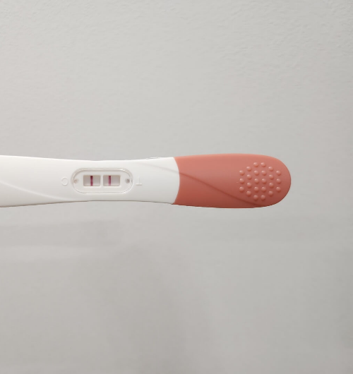 임신테스트기-결과