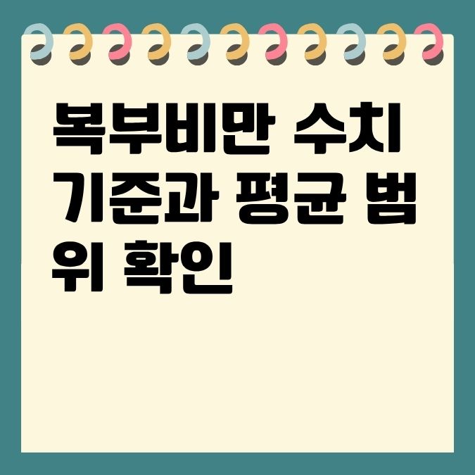 복부비만 수치 기준과 평균 범위 확인