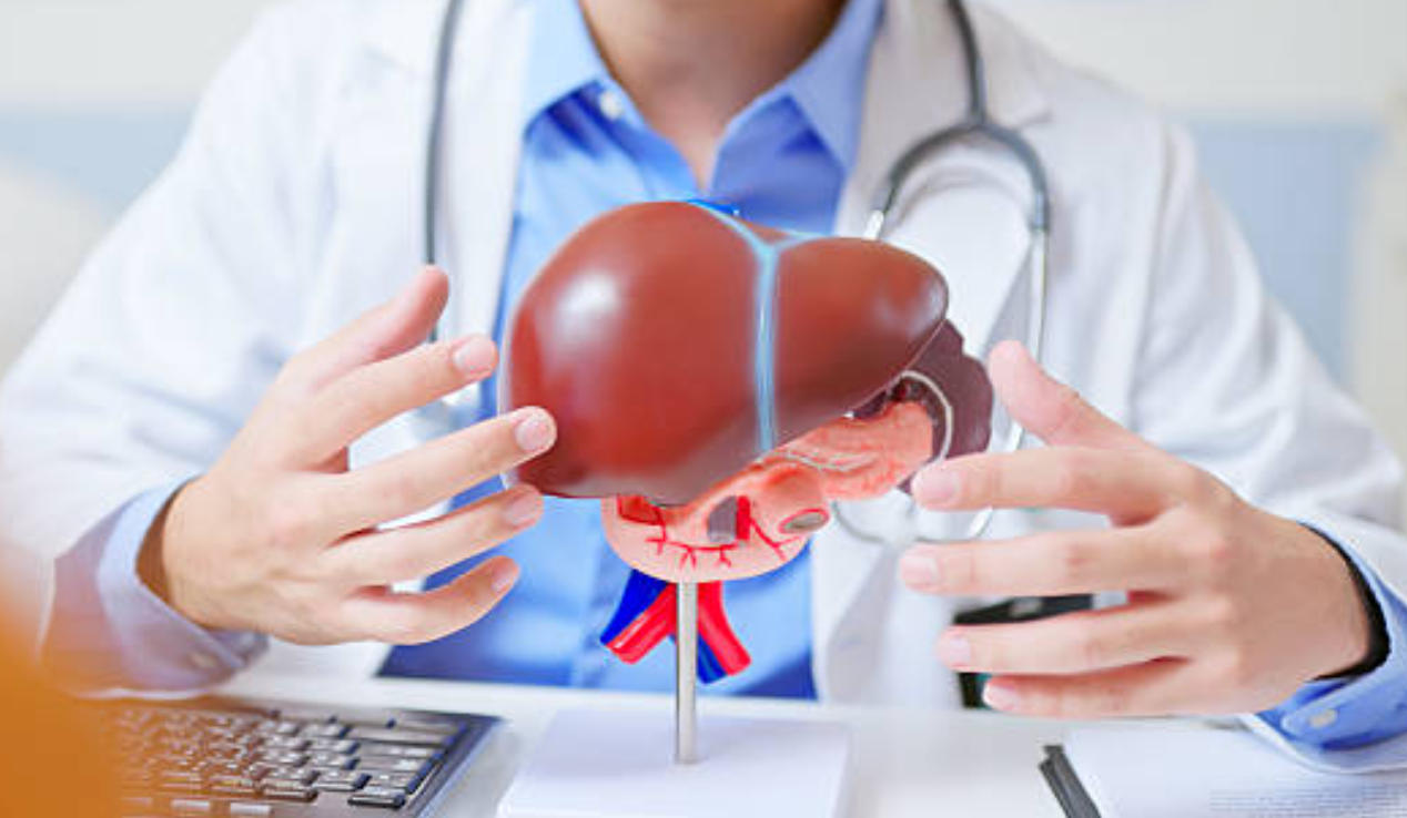 간암과 관련된 사진2