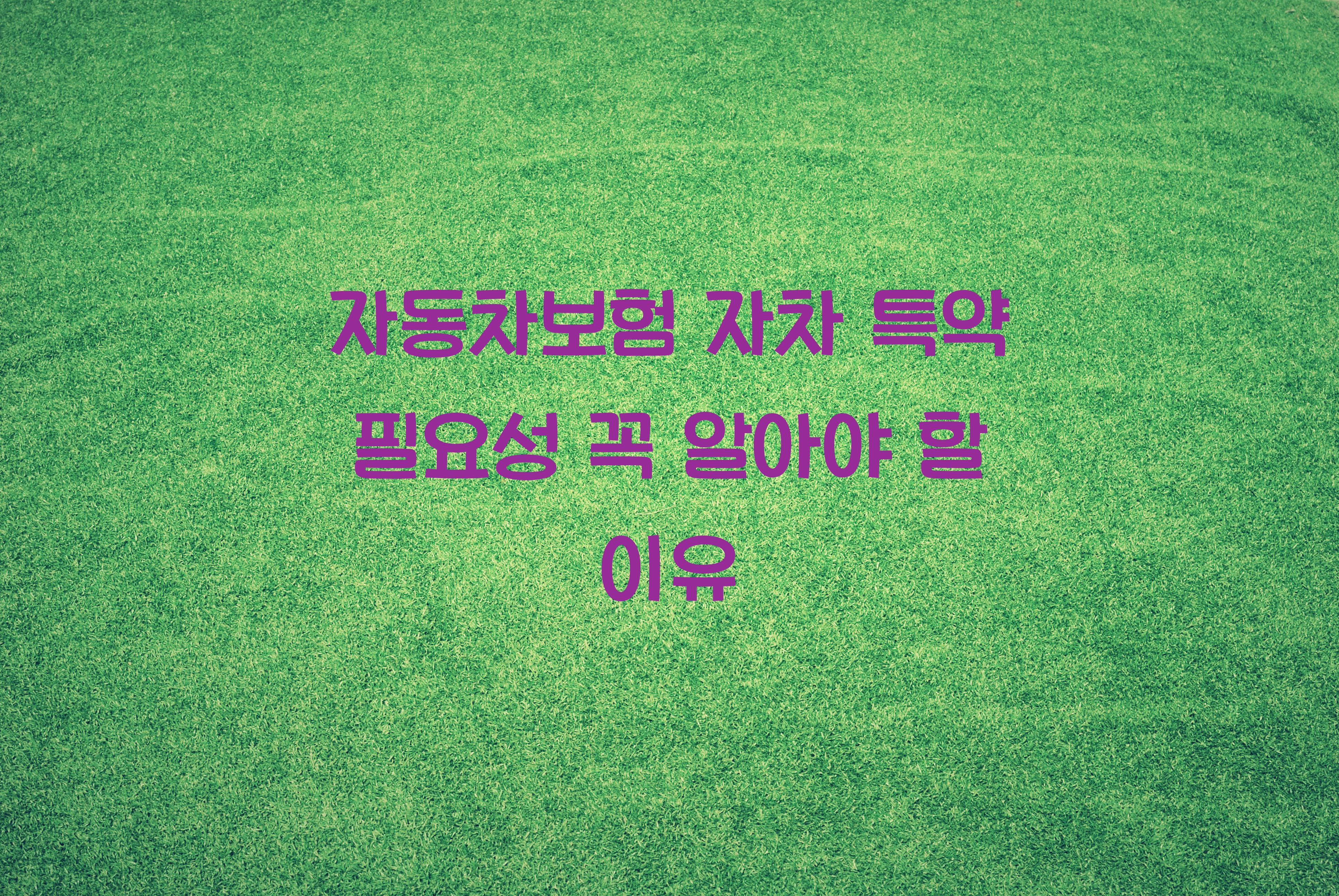 자동차보험 자차 특약 필요성