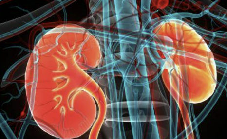 신장에 좋은 음식 7가지 조리법 나쁜 음식 등 총정리(최신)