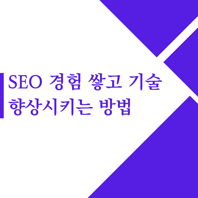 SEO 경험 쌓고 기술 향상시키는 방법(2023)