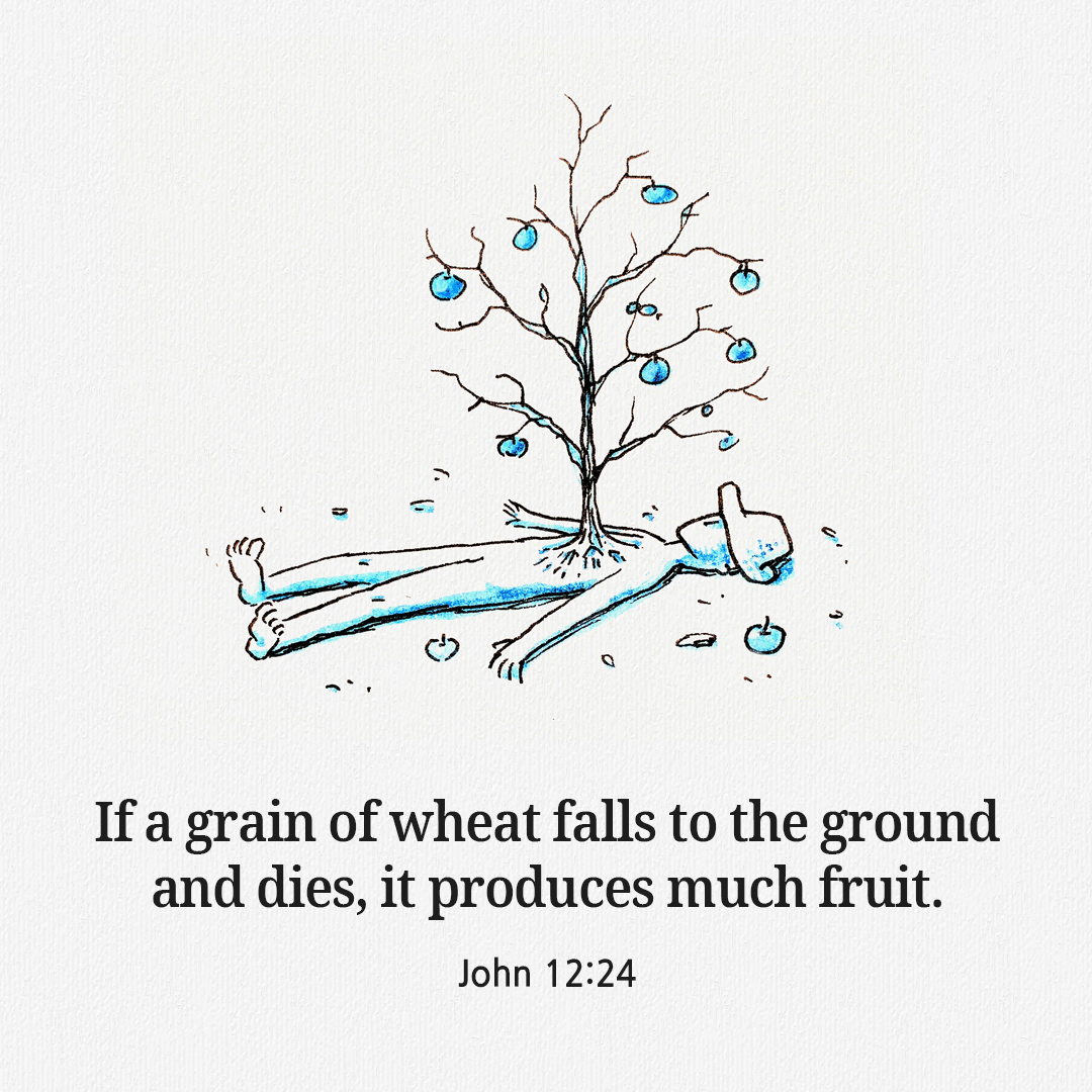 If a grain of wheat falls to the ground and dies, it produces much fruit. (John 12:24)