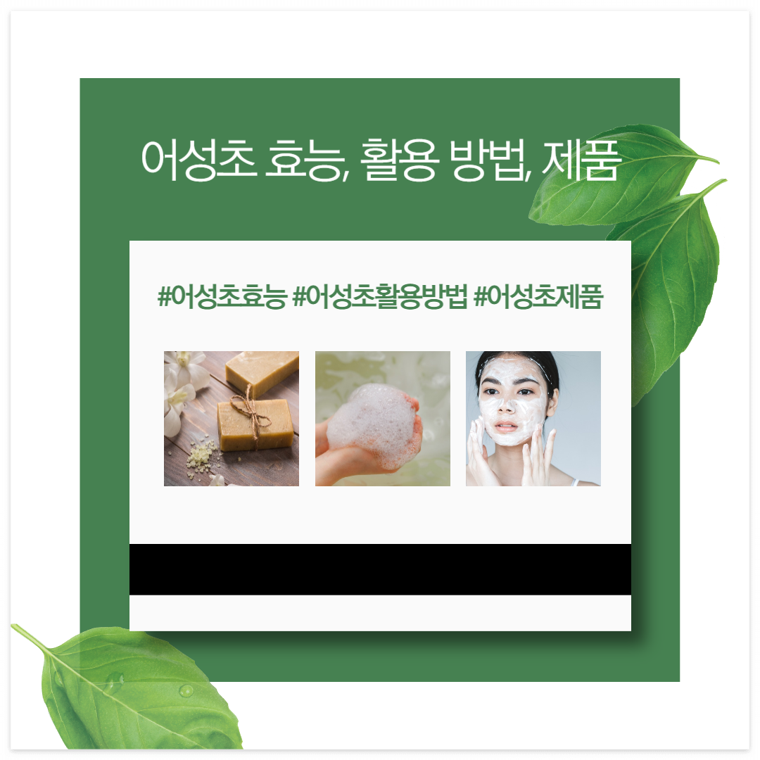 어성초