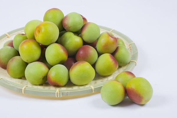 매실 액기스 효능