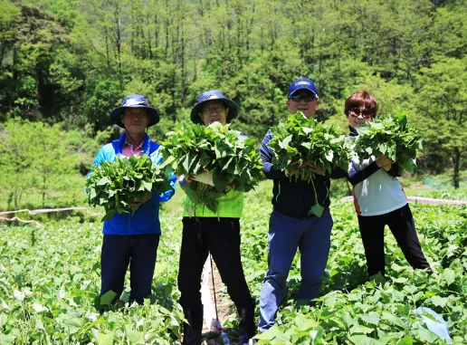 별천지마을 산나물축제