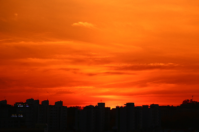 시니어일자리
