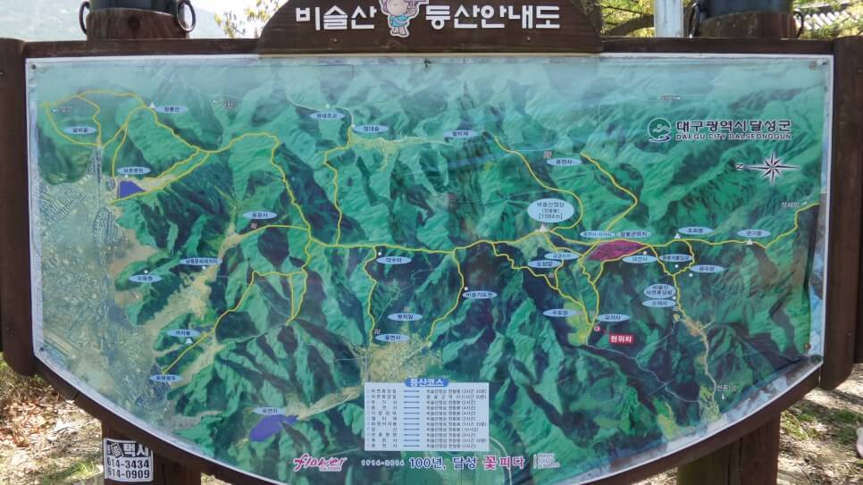 100대 명산 등산하기 서른세번째 대구 비슬산 봄철 참꽃군락지 여행객이 반드시 찾는 최고의 절정 풍경