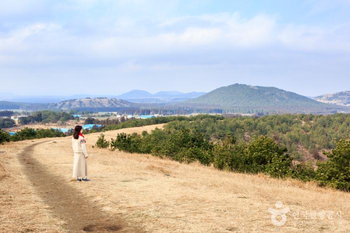 아부오름 분화구 둘레길 탐방로에 한 여인이 서있다.