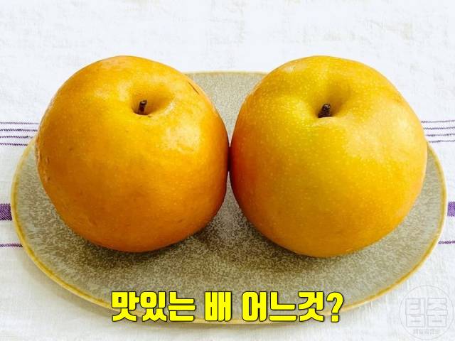 맛있는 배 고르는 방법
