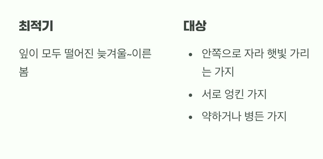 건강한 성장을 위한 가위질 (가지치기)