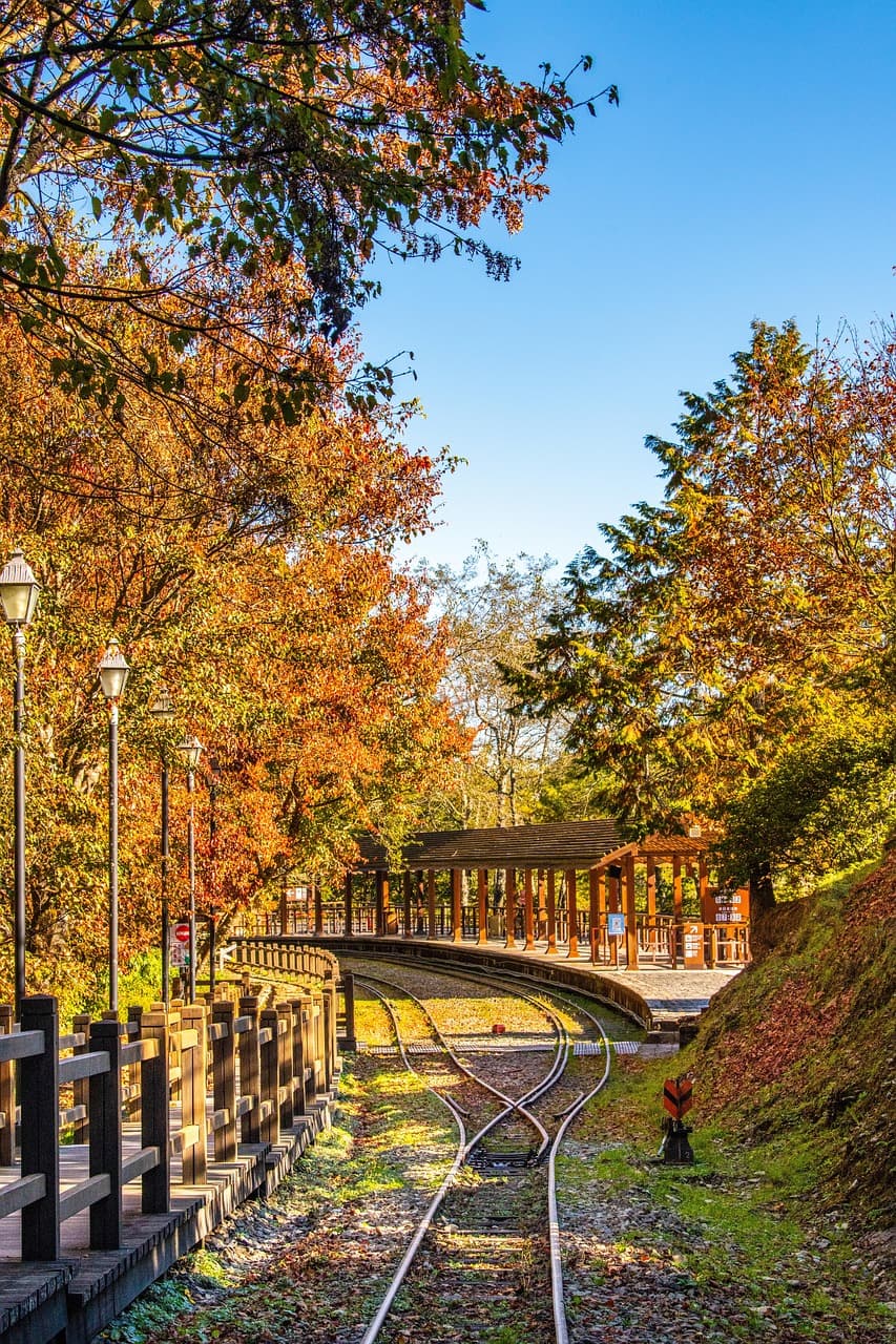 🍁 가을여행 기차표 예매 꿀팁 총정리! 단풍 명소부터 좌석 선택까지