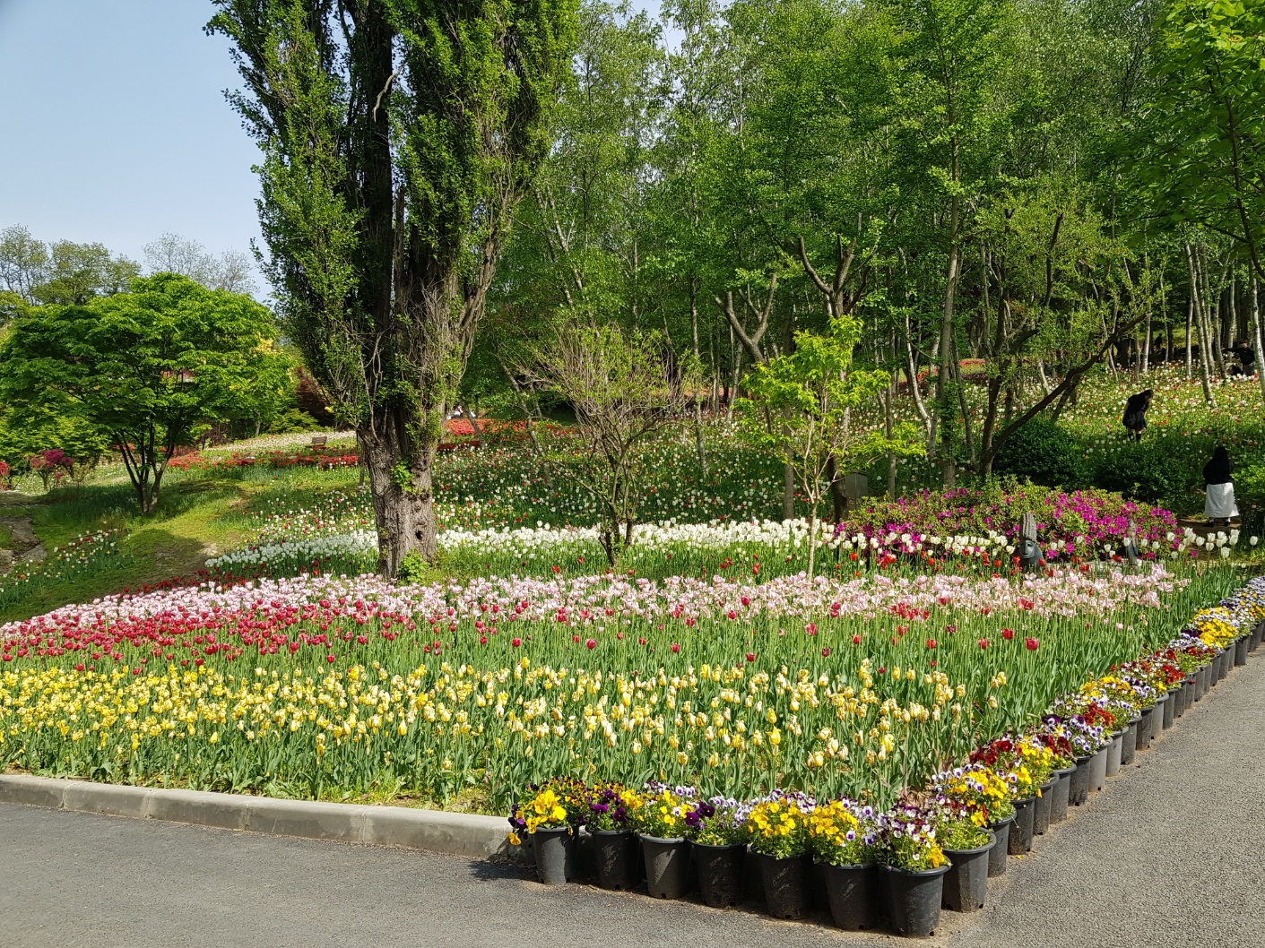 2026 해랑 열차 예약방법.코스.비용 총정리