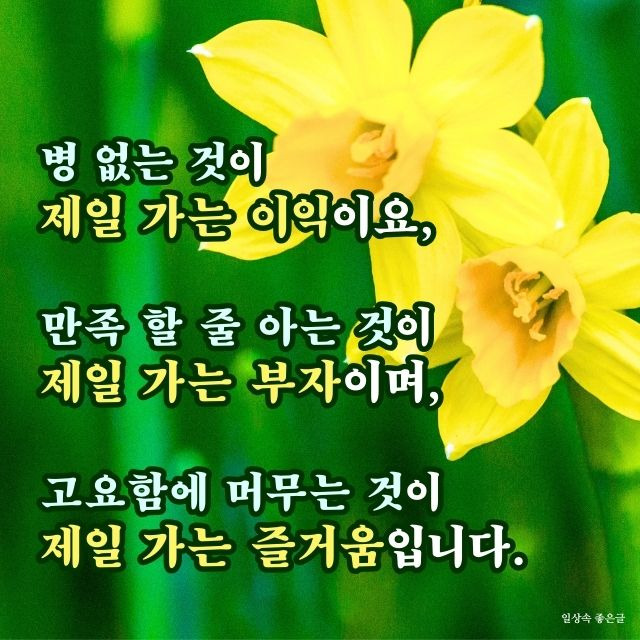 복과 화가 자기로부터 비롯된다는 명언 이미지