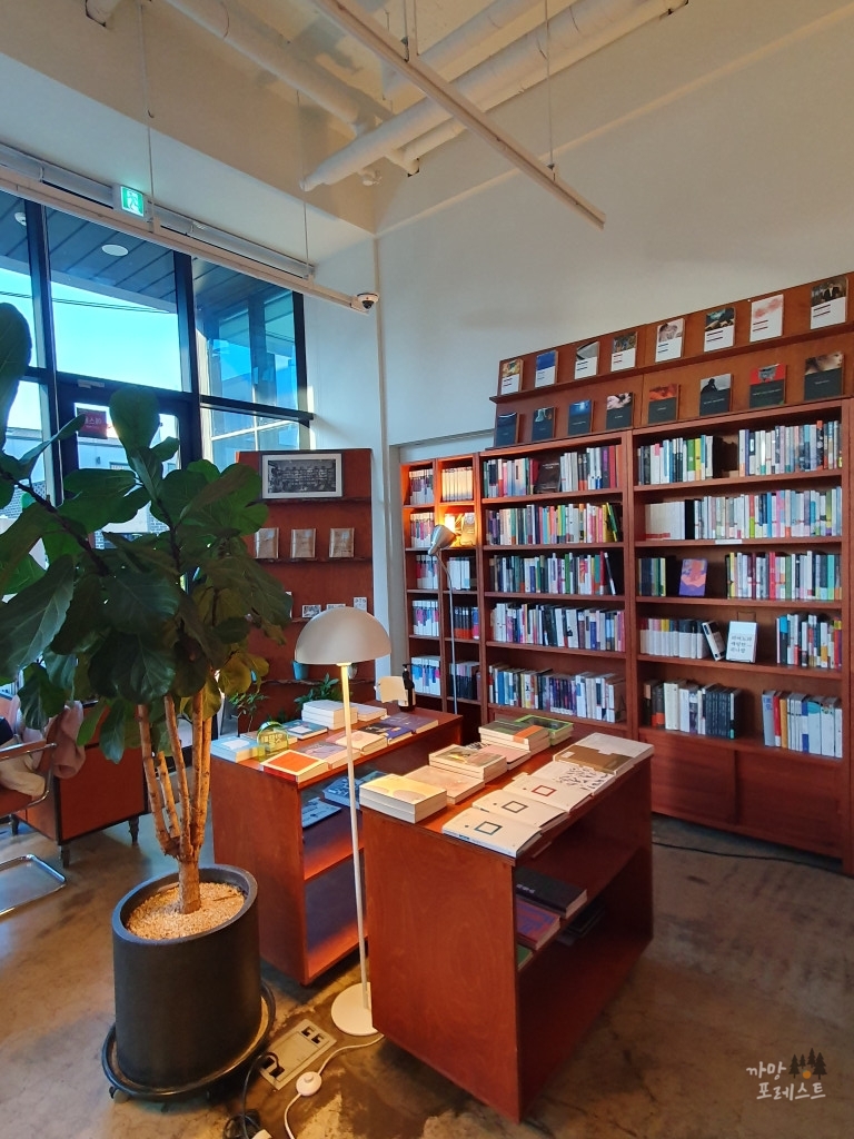 진부책방 스튜디오 책장