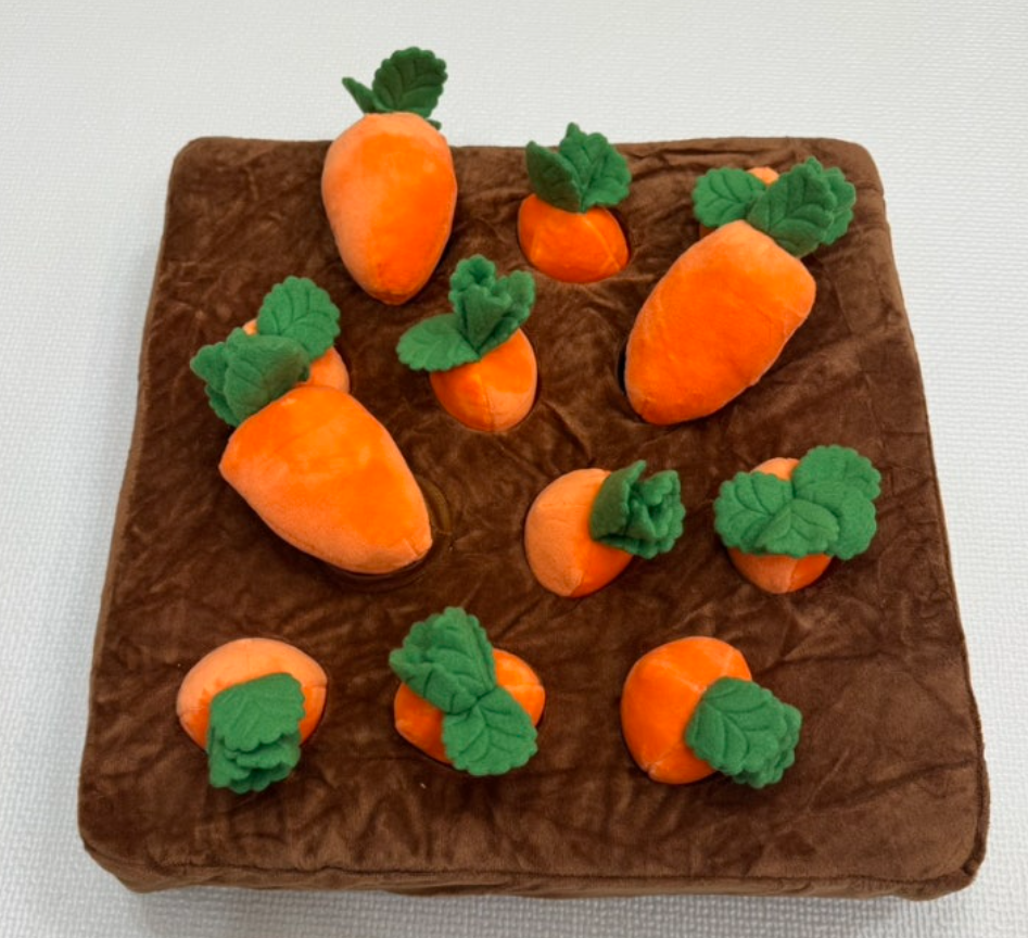 강아지 장난감 추천