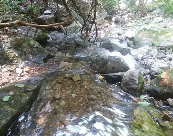 강당골계곡