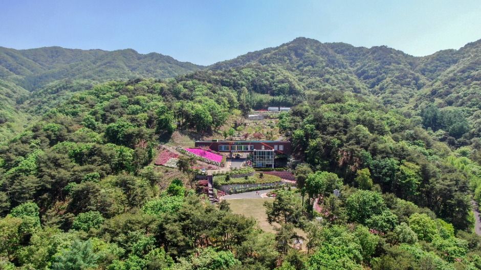 [강원도 여행지 추천] 원주 가볼만한 곳 베스트 10 동화마을수목원