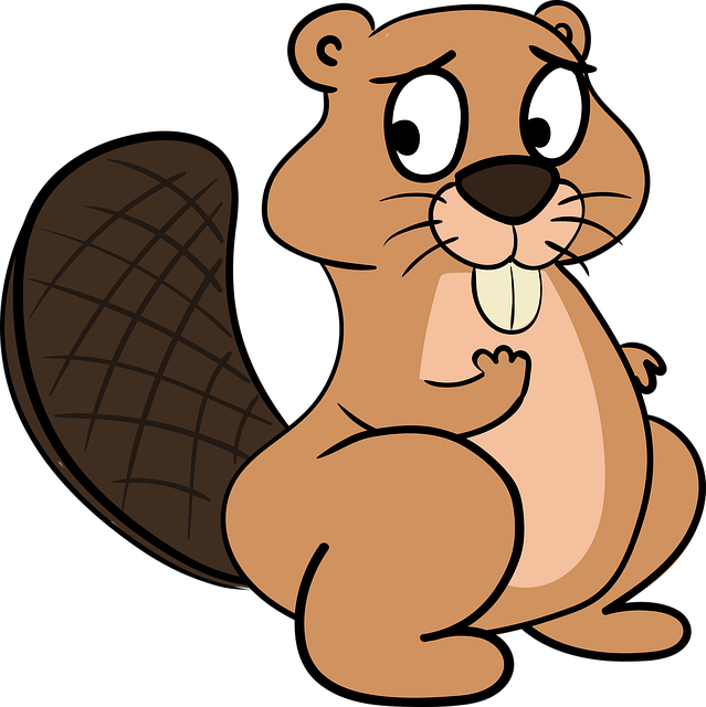 18세 국민연금 납부예외 신청방법