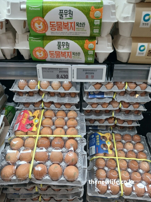 비타민D 효능을 돕는 계란 진열대 실사 이미지. 계란 노른자는 식품 중 드물게 비타민D가 함유된 단백질원입니다.