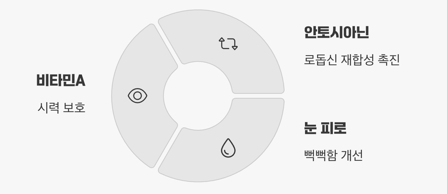 자두청 눈 건강을 지키는 작은 습관