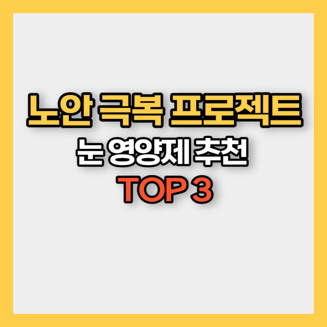 눈 영양제 추천